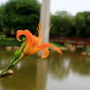 인천환경공단 청라사업소 이미지