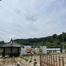 건강한밥상 | 안동 봉정사 맛집 :: 건강한 한식 조소순밥상 후기