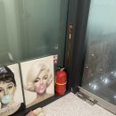 달걀부리(삼송2호) 화장실2호 | [삼송왁싱] 제이로지왁싱/ 원흥왁싱/ 삼송왁싱/ 브라질리언 왁싱 /삼송눈썹왁싱 /