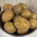 한아름농장 | 제주한아름농장 키위 구매후기