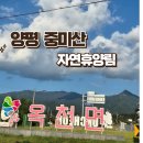 양평 중미산 자연휴양림 2캠핑장 230번 데크 후기