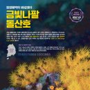 산호 이미지