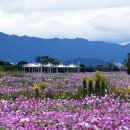 강변공원주차장 이미지