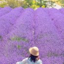 할리스(동해묵호점) 이미지