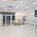 돌리샵 이미지