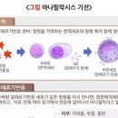 작은 붉은반점 : 전신 피부, 몸에, 얼굴에, 손바닥, 발바닥 생긴 이유 다섯가지 이미지