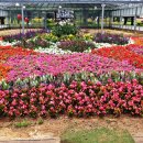 행운을 오게 하려면! 이미지