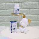 펫푸드 善 이미지