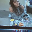 알리프로젝트 이미지