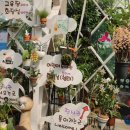 노평 농장 이미지