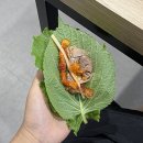 한성왕족발가경강서점