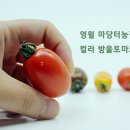 연당조전로 이미지