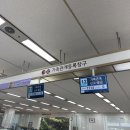 서구청 | 혼인신고 하는법 증인 부모님 대전 서구청 후기