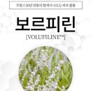 피부미인연구소