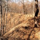 상주 금흔리 이부곡토성 이미지