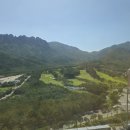카페델피노 인근 이미지