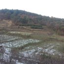 남은농장 이미지