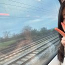 (주)사운드메이트 | 오스트리아 잘츠부르크 여행 추천 모차르트와 사운드오브 뮤직에 진심인 도시를 크리스마스 시즌에 나...