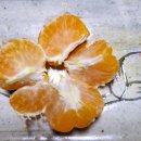 기주농장 이미지