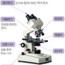 광학현미경 사용법 보고서 이미지