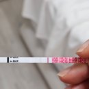 진하길 | [임신일기#2] 임신 극초기 증상 정리, 임테기 진하기 변화 (+10~+15), 극초기 산부인과 방문 후기