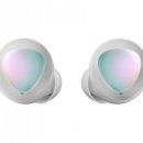 뉴오로라 이미지