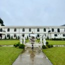 안나애견 | 태안 폐교를 리모델링한 애견동반 앤틱 감성 카페, 안나앤틱카페 리얼 후기