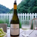 빈야드10(vineyard10) | Woodlands, Brook Vineyard Chardonnay, 2022(우드랜즈, 브룩 빈야드 샤르도네)