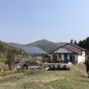 아리숲펜션