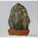 여주-0915 Daum카페