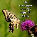 칠곡 아카시아 벌꿀 축제장에서~~ 이미지