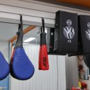 경희대 태권도 이미지