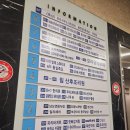 포커스라인프라자 | 분당피티 라인핏피티 서현점, PT 다이어트 성공하고 몸짱 된 후기!