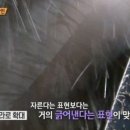 컷트달인 - 여수시 | 컷트달인
