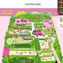 수피아플라워 이미지