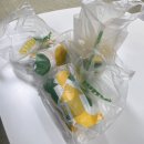 서초대로46길 19-12 이미지