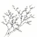 유럽인들이 북미 인디언들 머릿 가죽을 벗긴 과오에 대한 설명 이미지