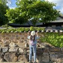 섬진칼국수 이미지