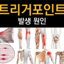 투에스짐 네이버블로그