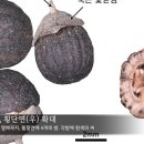 열매양품 이미지