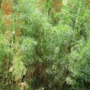 아라뜰2호점 이미지