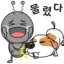 김신규뮤직아카데미학원 이미지
