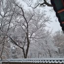 수채화A 이미지