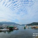 천대국치길 이미지