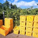 신효동-9 이미지