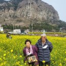 헬로우제주여행사
