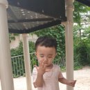 과일놀이터