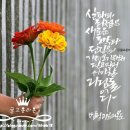 이도캘리그라피 이미지