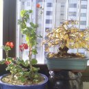 소사는집 이미지