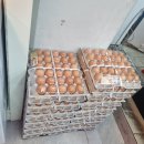 가온축산고기마트 이미지